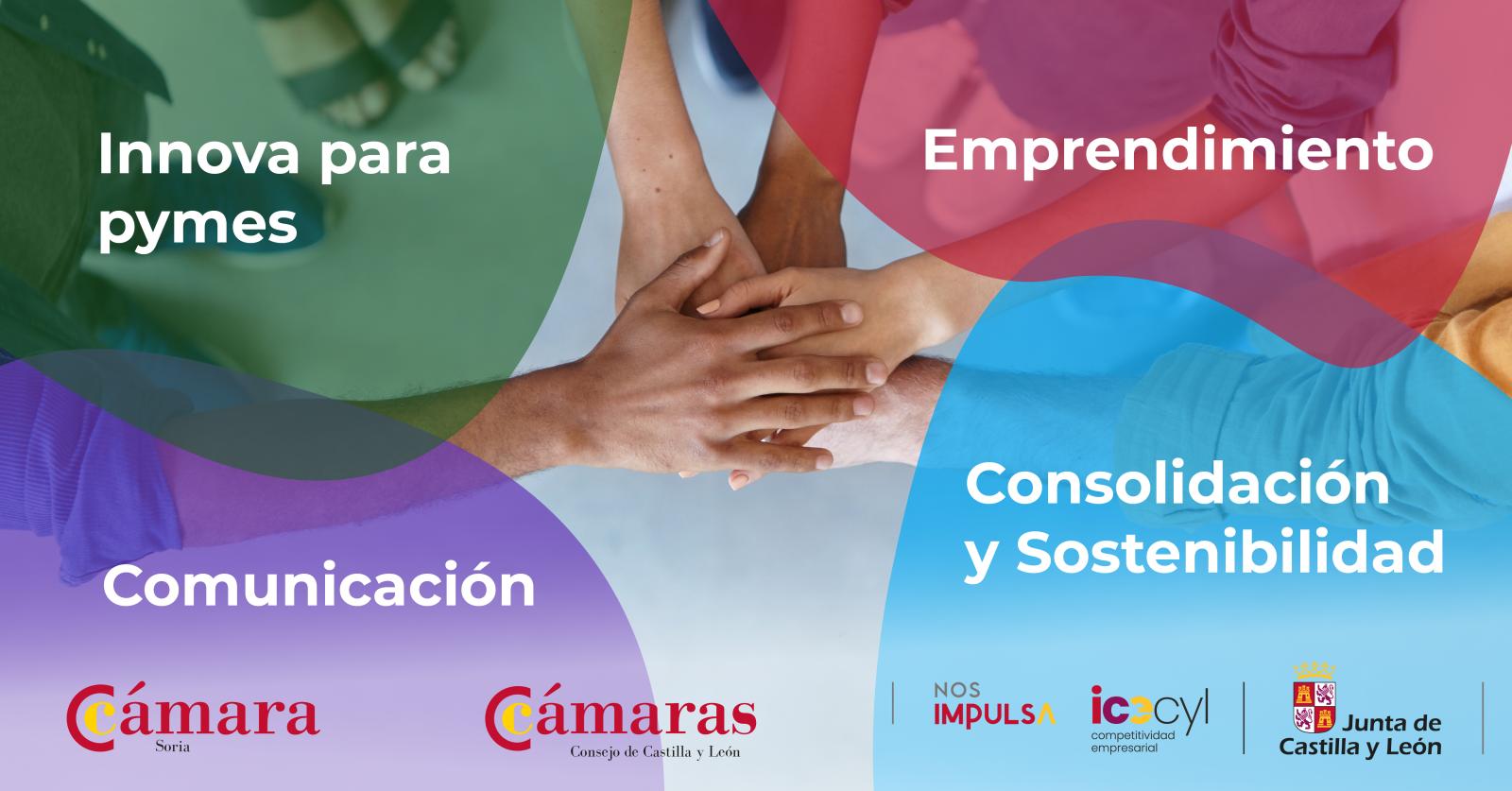 Apoyo a la creación y consolidación empresarial