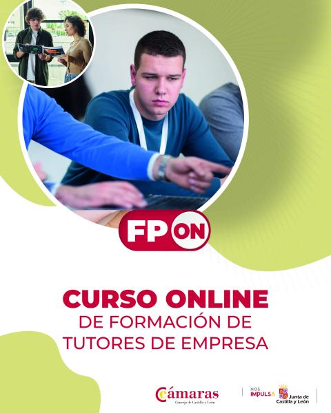 Curso Tutores FP